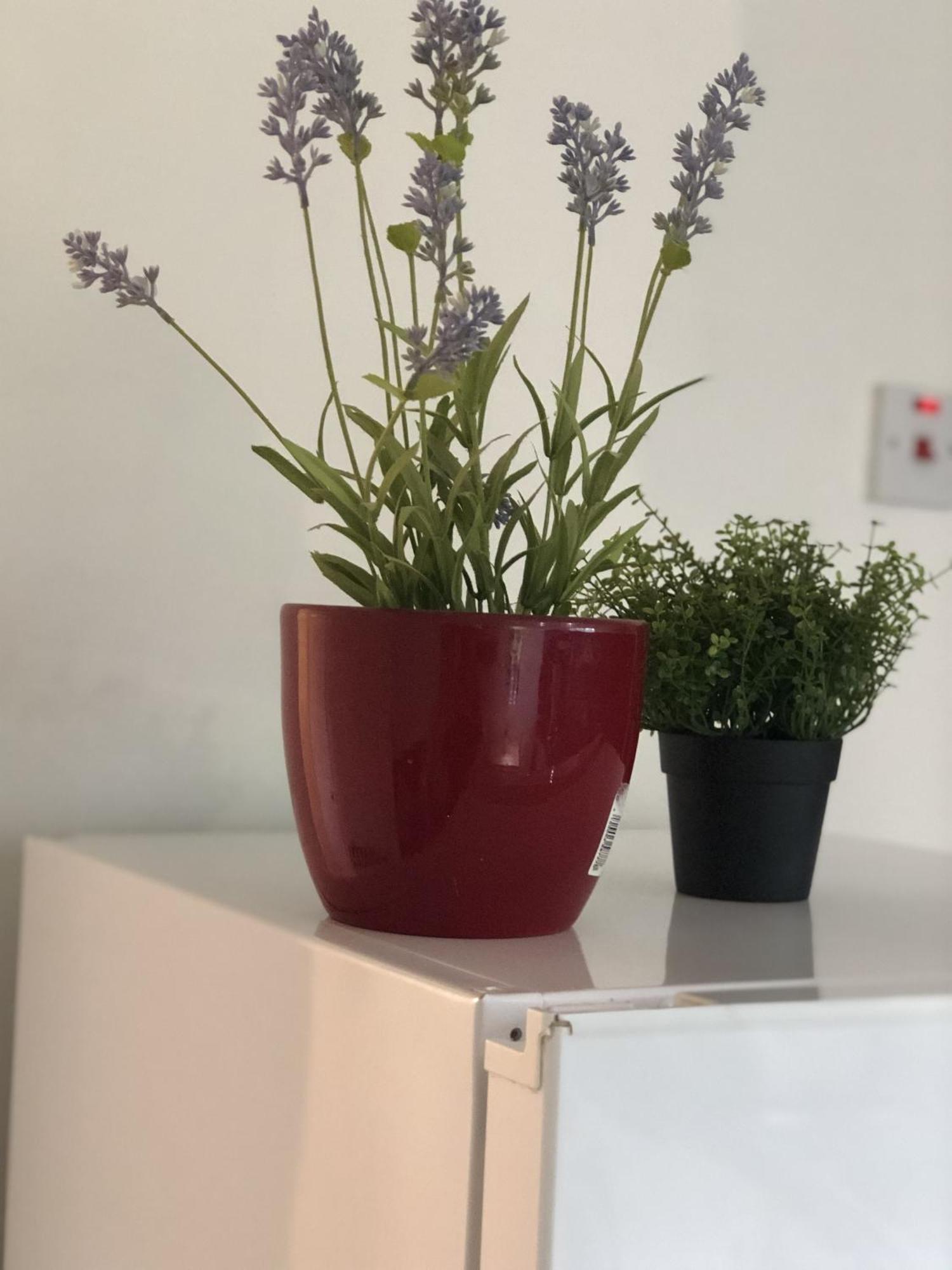 Apple House Guesthouse Heathrow Airport Hillingdon Pokoj fotografie